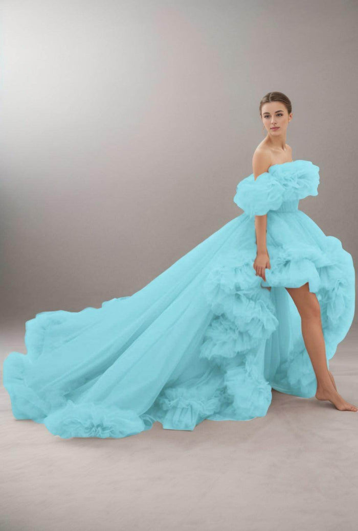 A-Line Court Train Tulle Prom Dress CS0406 - COCOMELODY