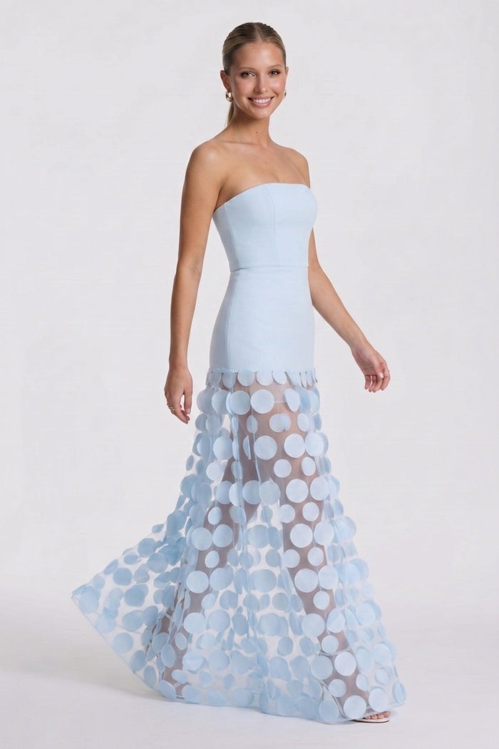 A-Line Maxi Elastic Cloth Tulle Wedding Guest Dress CG0325