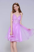A-Line Mini Tulle Homecoming Dress CS1000 - COCOMELODY