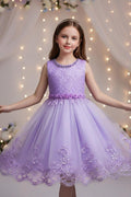 A-Line Round Neck Sleeveless Lace Short Tulle Knee Length Flower Girl Dresses 1029768430343