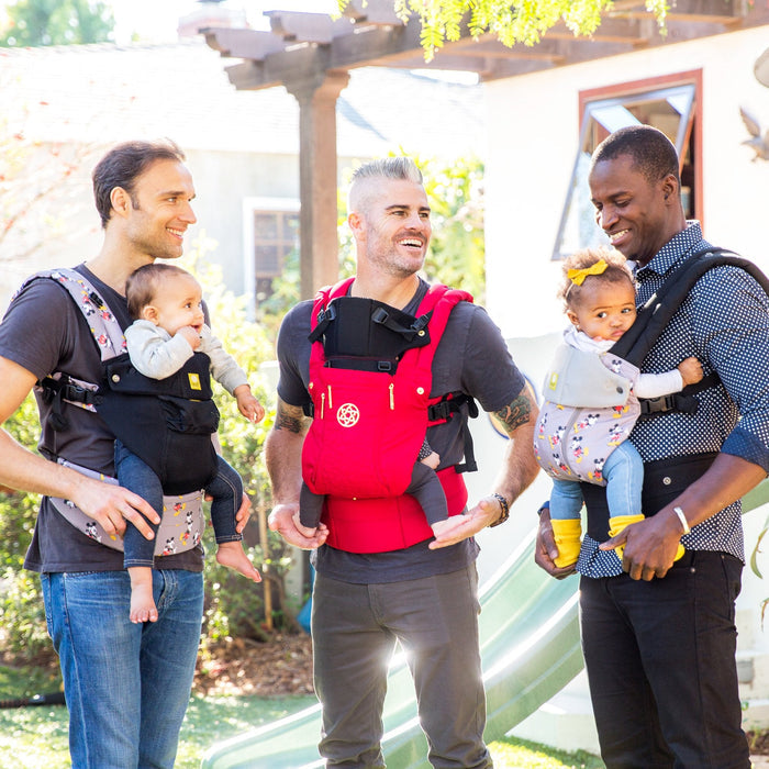 Baby Wearing and Baby Carrier Consultation - Donna Bruschi, IBCLC