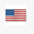 Buckle USA Flag