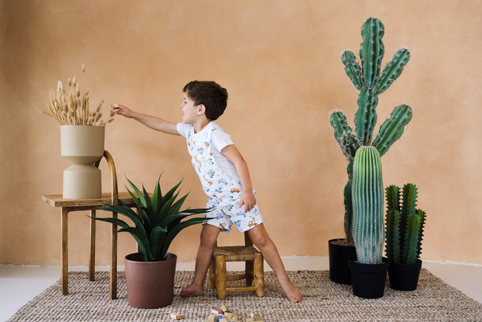 A lifestyle photograph of a young boy with dark hair standing barefoot on a woven jute rug in a studio with a warm terracotta-colored wall. He is wearing a short white romper covered in a colorful pattern of cars, trucks, and safari animals, styled over a plain white t-shirt. With one foot on a small wooden stool, he leans forward to playfully touch a vase of dried pampas grass on a wooden side table. The studio set is decorated with a leafy green potted plant and a collection of tall, potted ca