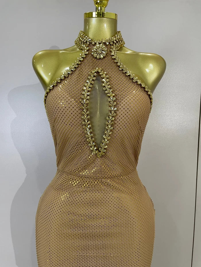 Eva sexy halter sparkly diamond golden mesh sequin maxi dress for evening gala styling