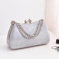 Featured PU Dinner Party Bag Fashion Party Bag 714304098769 - COCOMELODY