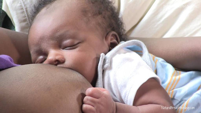 Natural Breastfeeding Self-Study Course - Donna Bruschi, IBCLC