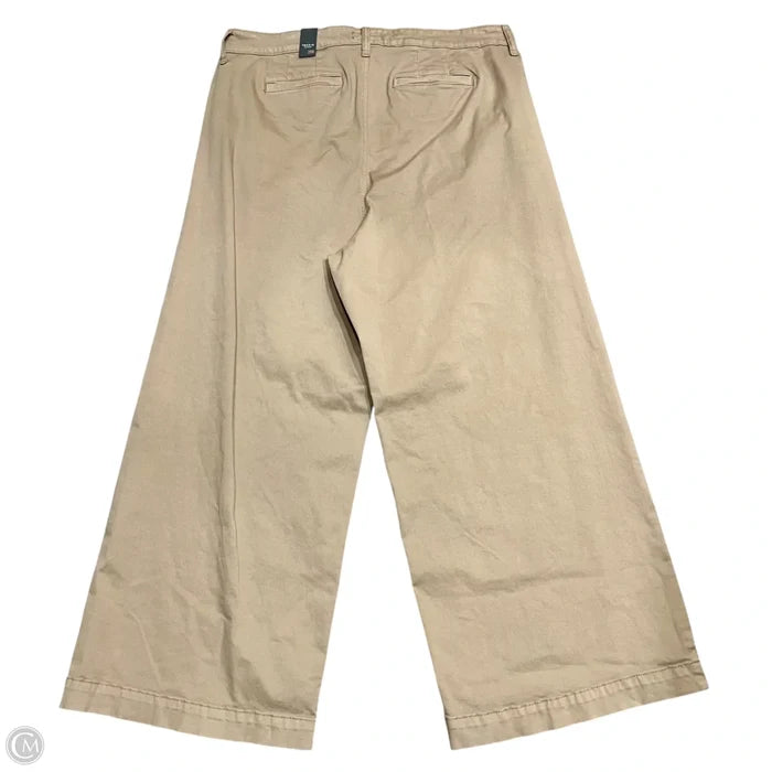 Pants Wide Leg By Torrid In Brown, Size: 20