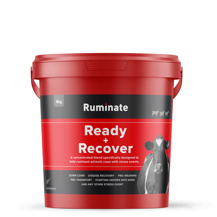 Ready + Recover® – Ruminant Recovery Powder