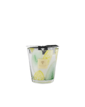 Candles Baobab Riviera Santo Sospir Limited Edition Candle Max 16 O/S Apoella