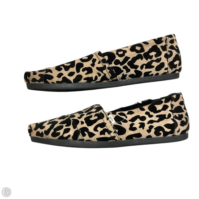 Shoes Flats By Toms In Leopard Print, Size: 9.5