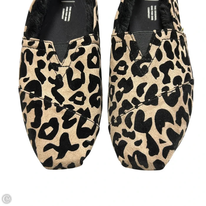 Shoes Flats By Toms In Leopard Print, Size: 9.5