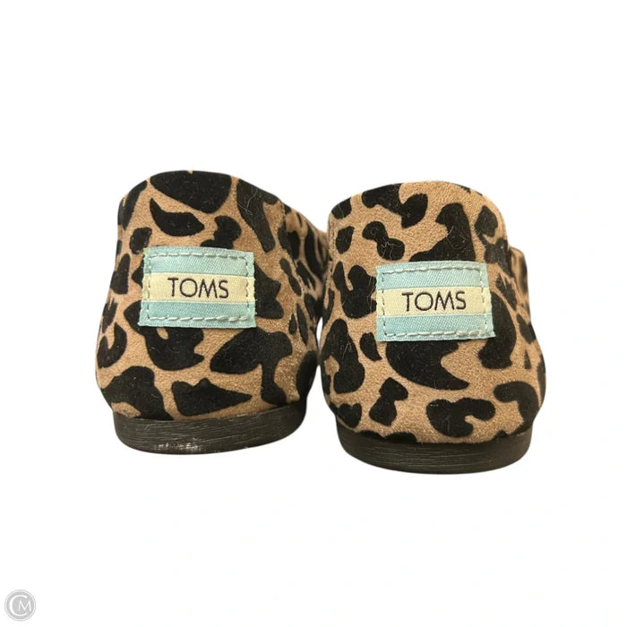 Shoes Flats By Toms In Leopard Print, Size: 9.5