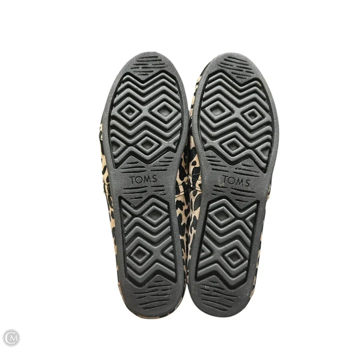 Shoes Flats By Toms In Leopard Print, Size: 9.5