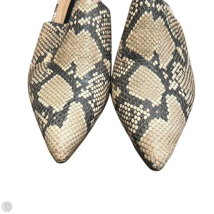 Shoes Heels Block By Steven By Steve Madden In Snakeskin Print, Size: 8
