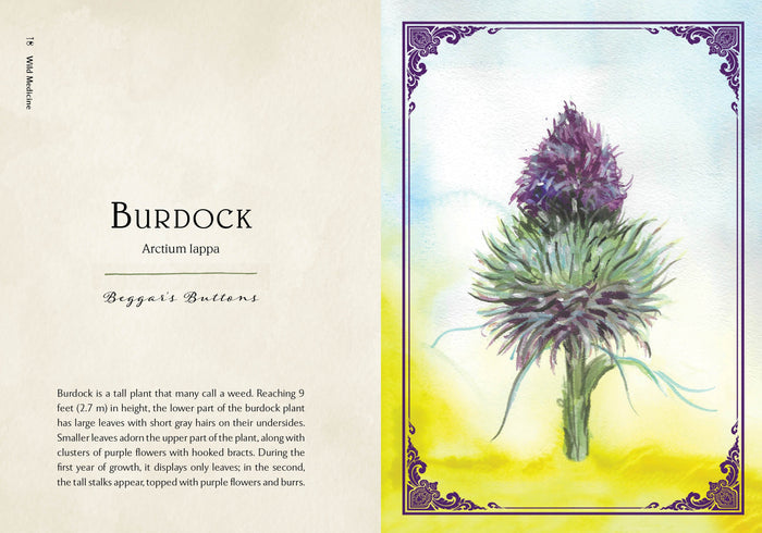 Wild Medicine
